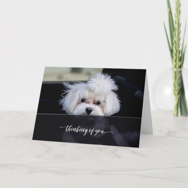 Pensando em seu cartão dobrado (Frente)