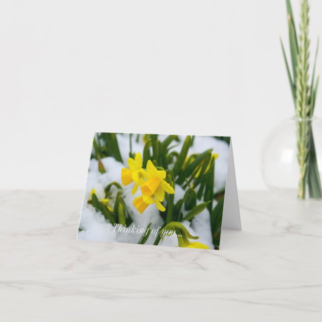 Pensando Em Seu Cartão - Vamos Primavera (Frente)