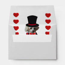 Pensando Em Seus Envelopes De Poodle