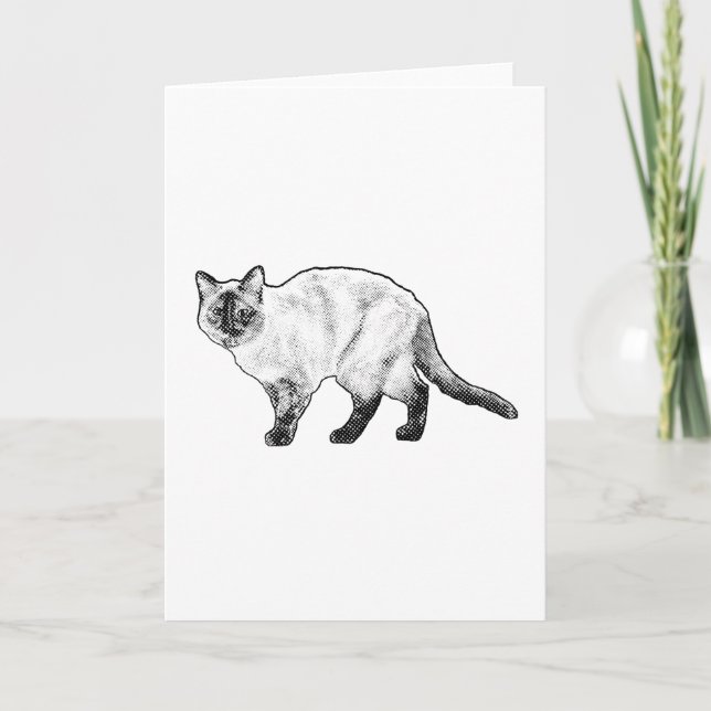 Pensando em Você, Cartão de Gato Curioso (Frente)