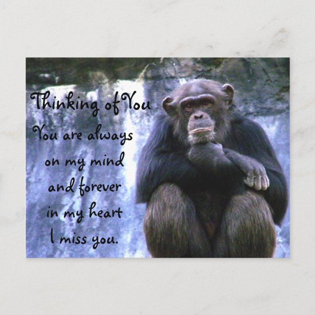 Pensando em você - Cartão postal (Frente)