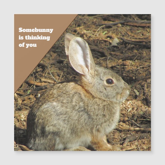 Pensando em você, Coelhinho Castanho Foto Natureza (Frente)