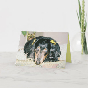 PENSANDO EM VOCÊ GANHANDO CARTÕES - DACHSHUND MINI