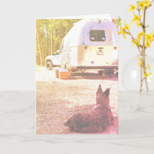 Pensando no Modelo de Foto de Cachorro de Camper