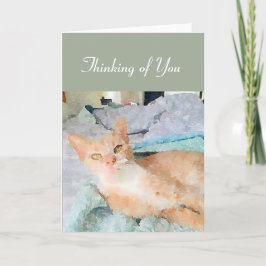 Pensando no seu cartão de nota