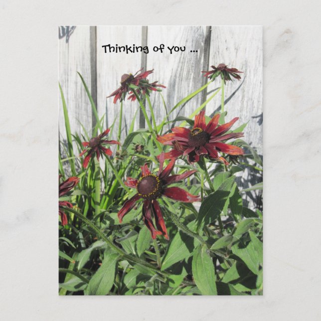 Pensando no seu cartão postal (Frente)