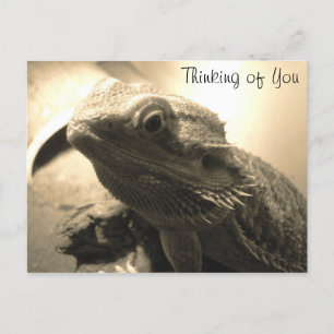 Pensando no seu cartão postal