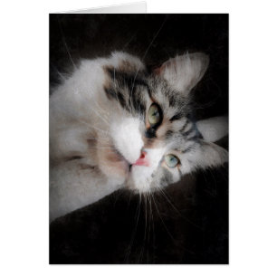 Pense de você o cartão para amantes do gato