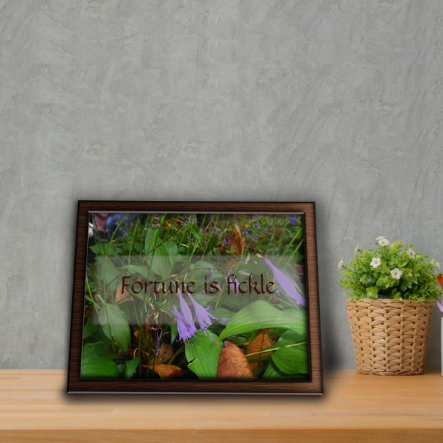 Pense hoje e fale sabedoria dizendo poster de foto (Criador carregado)