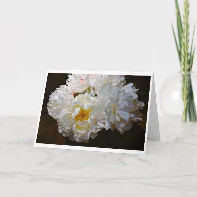 Peônia, cartão (Frente)