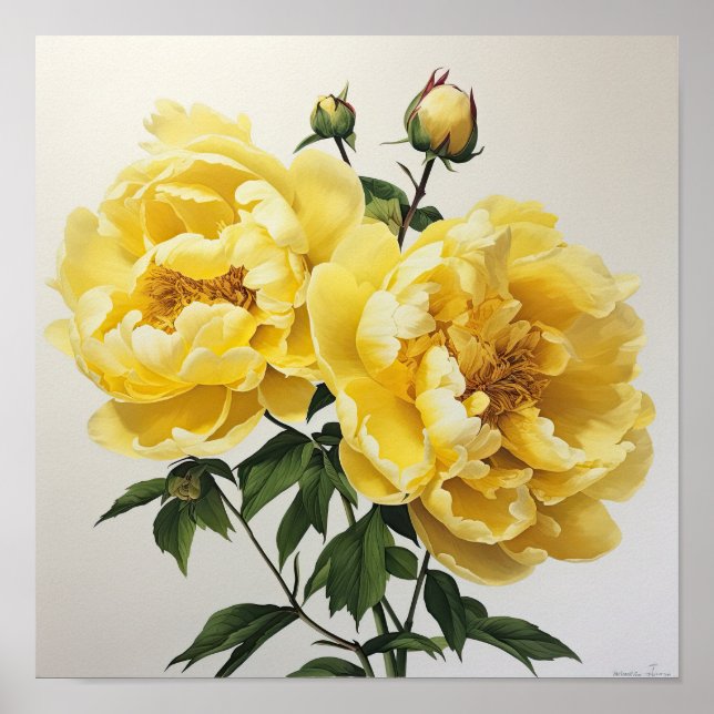 Peônias amarelas Impressão de arte floral (Frente)