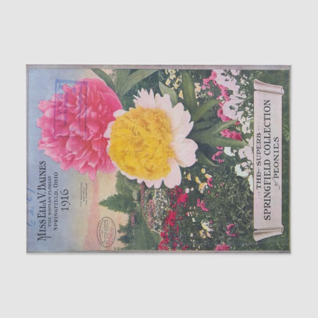 Peônias antigas do lenço de papel de Ella Baines (Frente )