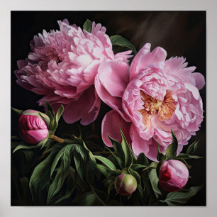Peônias cor-de-rosa Impressão