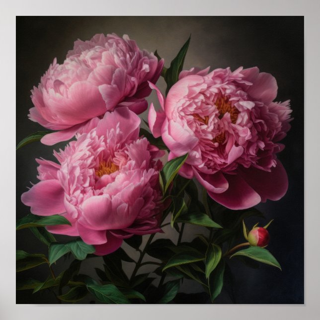 Peônias cor-de-rosa Impressão (Frente)