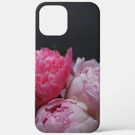 Peônias rosa sobre fundo escuro