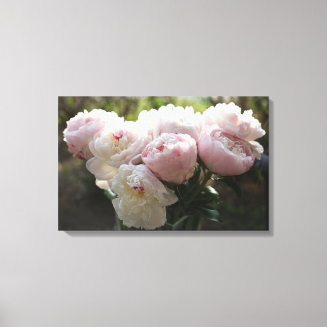 Peony Canvas Art (Frente)