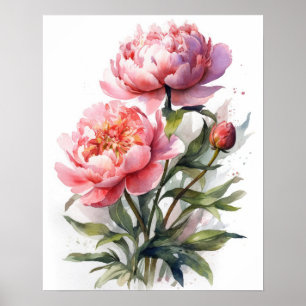 Peony Flowers Impressão
