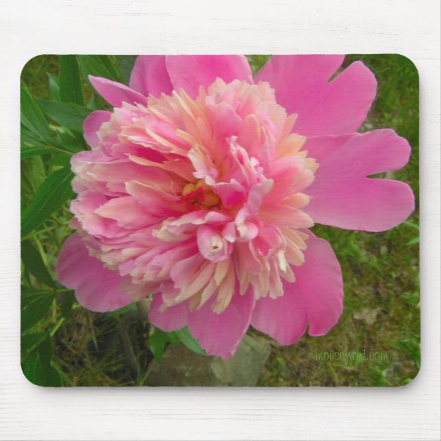 Peony Mousepad (Frente)