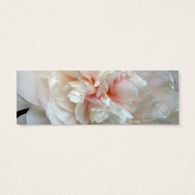 Peony Petals (Verso)