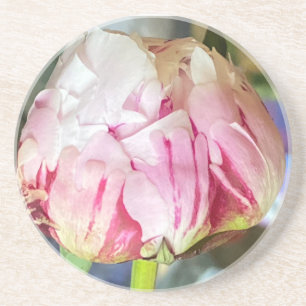Peony porta copos