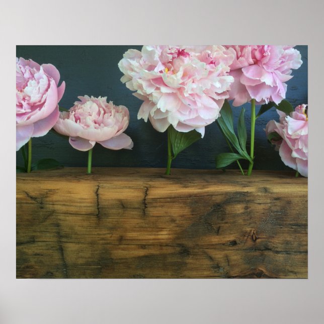 Peony poster (Frente)