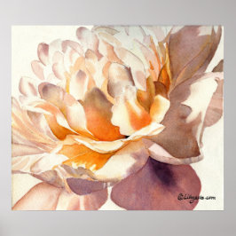 Peony White Watercolor Poster