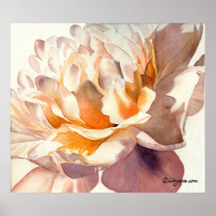 Peony White Watercolor Poster