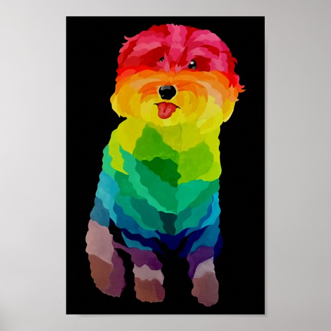 Pepita Rainbow Poster (Frente)