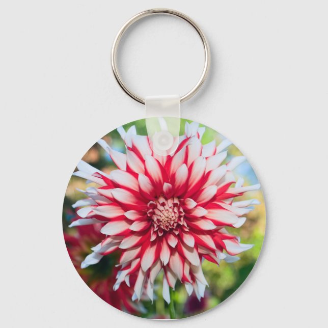 Peppermint Dahlia Chaveiro (Frente)