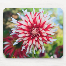 Peppermint Dahlia Mousepad