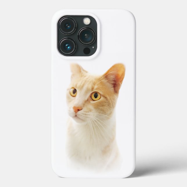 Pequena capas de iphone de Gato Loura Adorando Cas (Verso)
