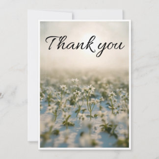 pequena flor branca espalhada pelo cartão de agrad