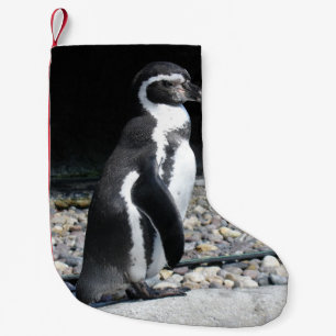 Pequena Meia de Natal de Pinguim