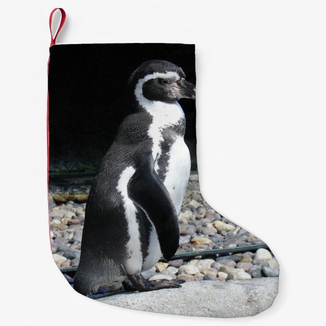 Pequena Meia de Natal de Pinguim (Frente)