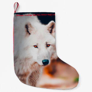 Pequena Meia de Natal Meu Velho Castor