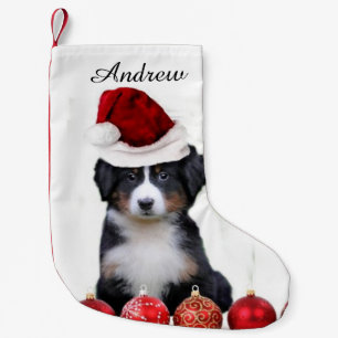 Pequena Meia do cão de montanha de Bernese do Natal