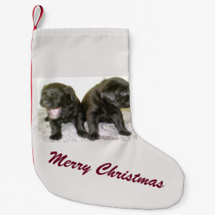 Pequena Meia do Natal dos filhotes de cachorro de Labrador