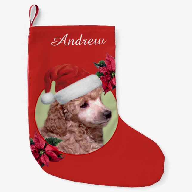 Pequena Meia personalizada do cão de caniche do Natal (Frente)