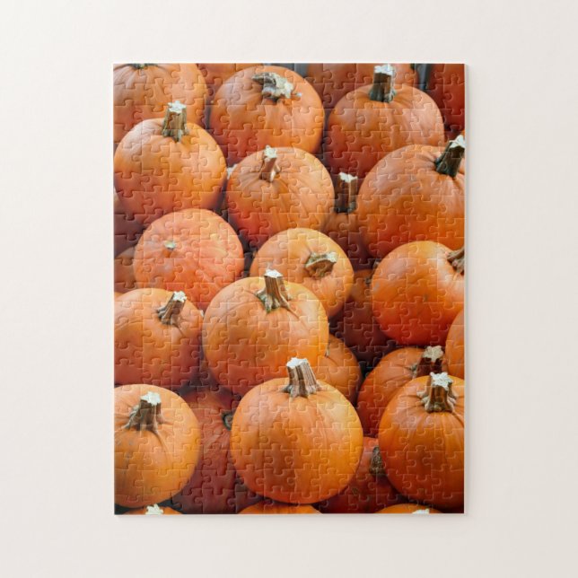 Pequenas abóboras laranja quebra-cabeça (Vertical)