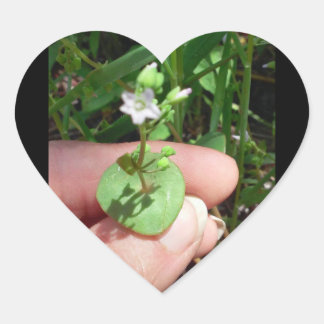Pequenas Coisas em forma de coração adesivo