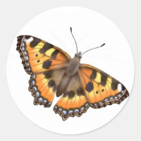 Pequeno adesivo da Borboleta Tortoisinfernal