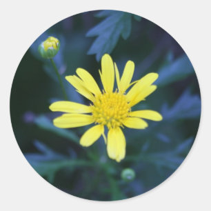 pequeno adesivo de flor amarela