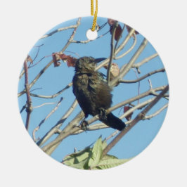 Pequeno Birdie em Ornamento Memorial de Árvore