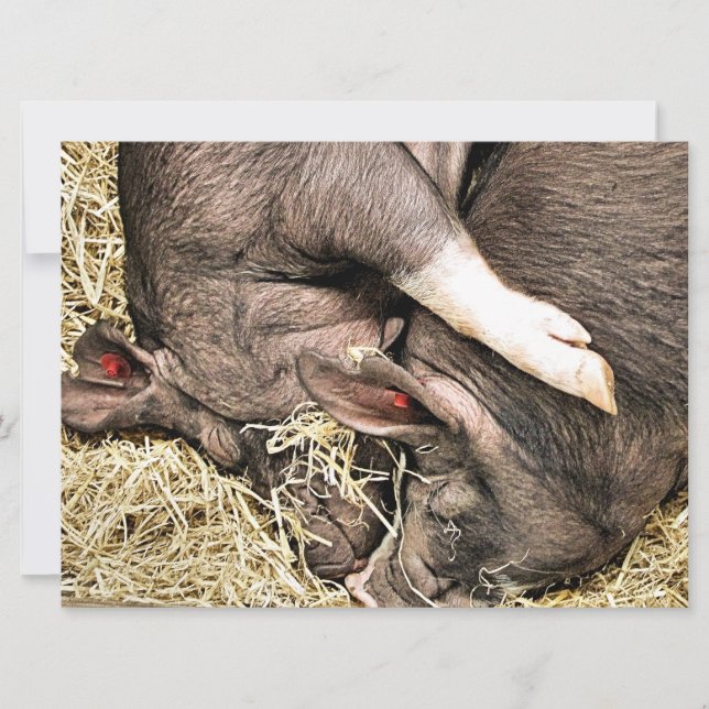 PEQUENO convite para porcos CUTE (Frente)