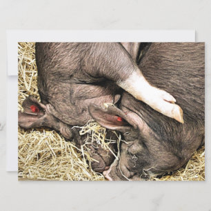 PEQUENO convite para porcos CUTE