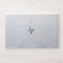 Pequeno floco de neve na floresta de inverno