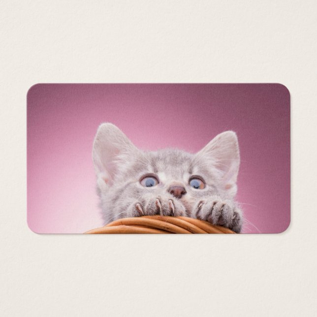 Pequeno gatinho (Frente)