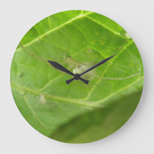 Pequeno Relógio de Parede de Aranha