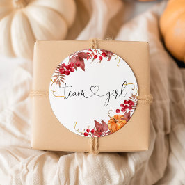 Pequenos adesivos da equipe laranja da abóbora