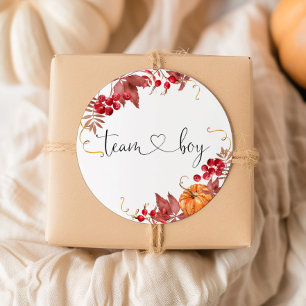 Pequenos adesivos do time de abóbora laranja